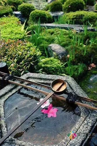 花園設計改造，手把手教你打造最美花園