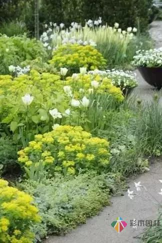 花園設計改造，手把手教你打造最美花園