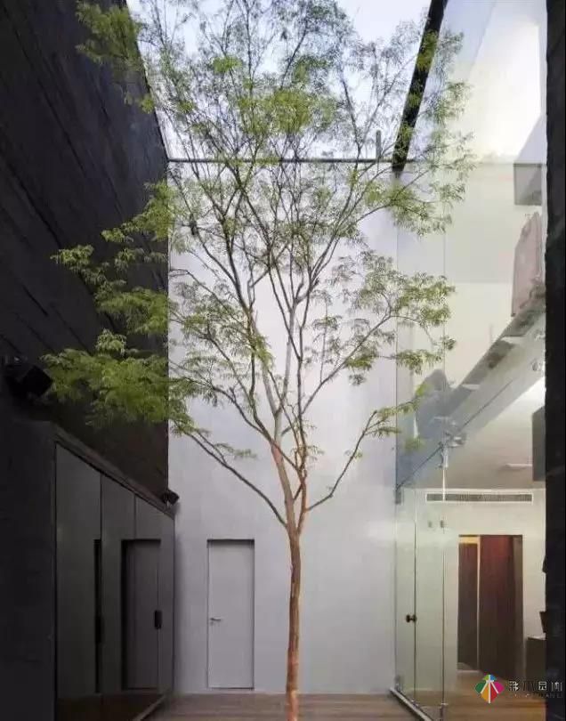 讓人心動(dòng)的庭院設(shè)計(jì),可不可以不要這么美