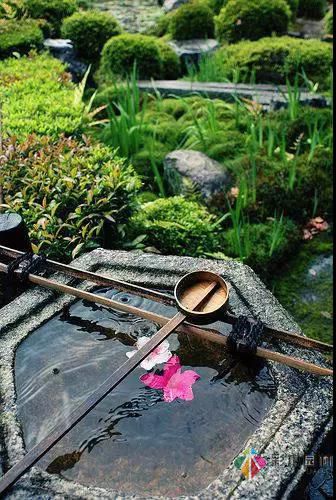 花園改造設(shè)計(jì)，彩木園林手把手教你打造最美花園