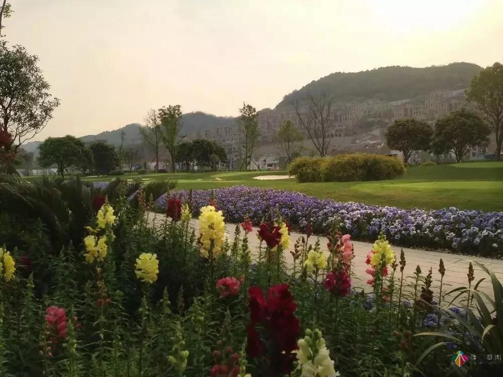 彩木園林花境園藝太漂亮，我也想弄一個(gè)！